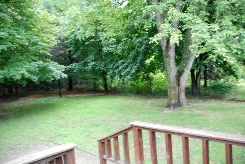 DSC_0019.JPG